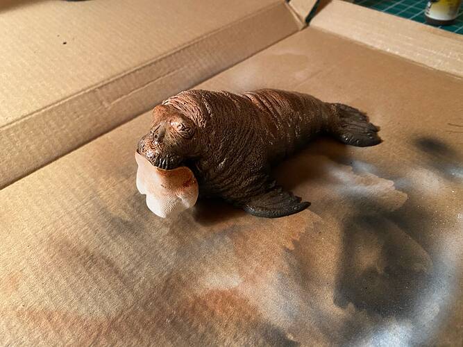 01f9cd56300204a59bb25c6fe7b8b00a11093232db