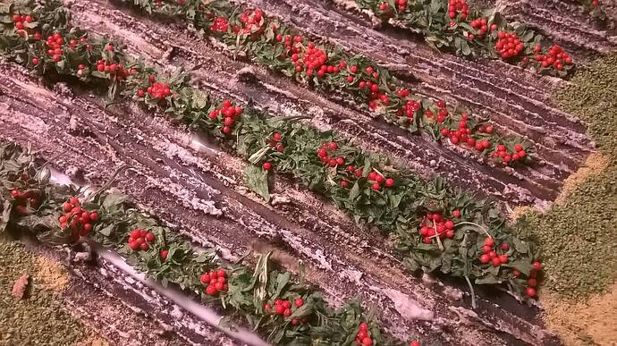 close up 1