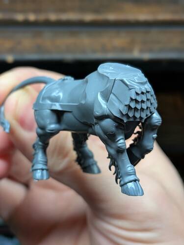 PXL_20251104_021032605.PORTRAIT