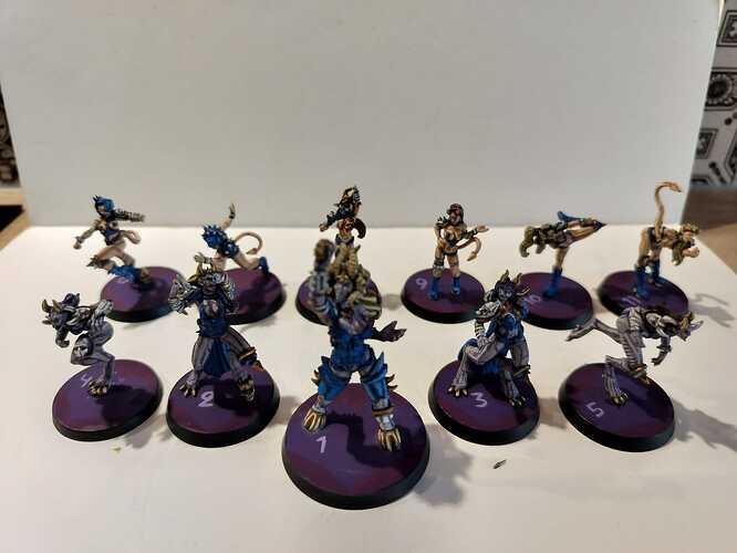 WhatsApp Image 2025-12-31 at 12.56.57