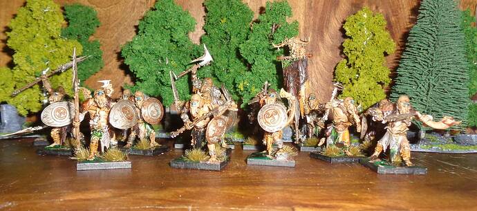 Fimm Warriors AoS Conversion 1.1
