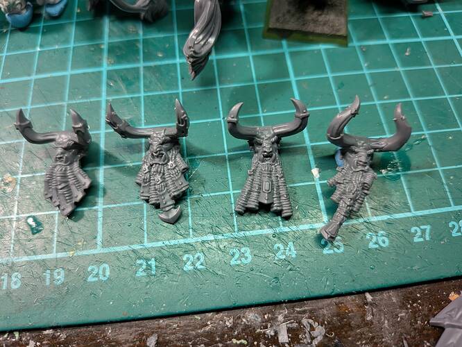 PXL_20251104_024810454.MACRO_FOCUS