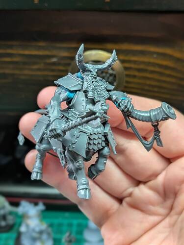 PXL_20251104_040344646.PORTRAIT